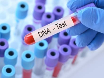 Kane County, IL paternity lawyer