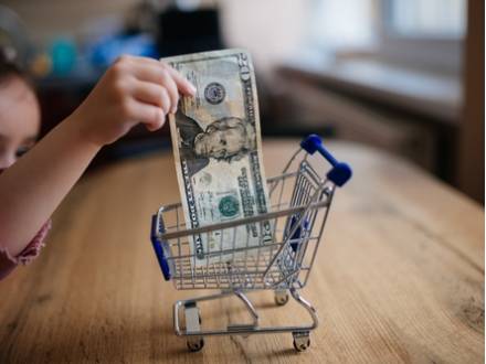 Kane County child support lawyer