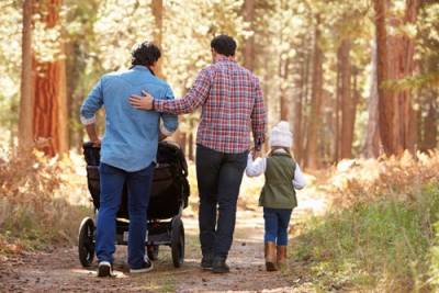 IL custody lawyer